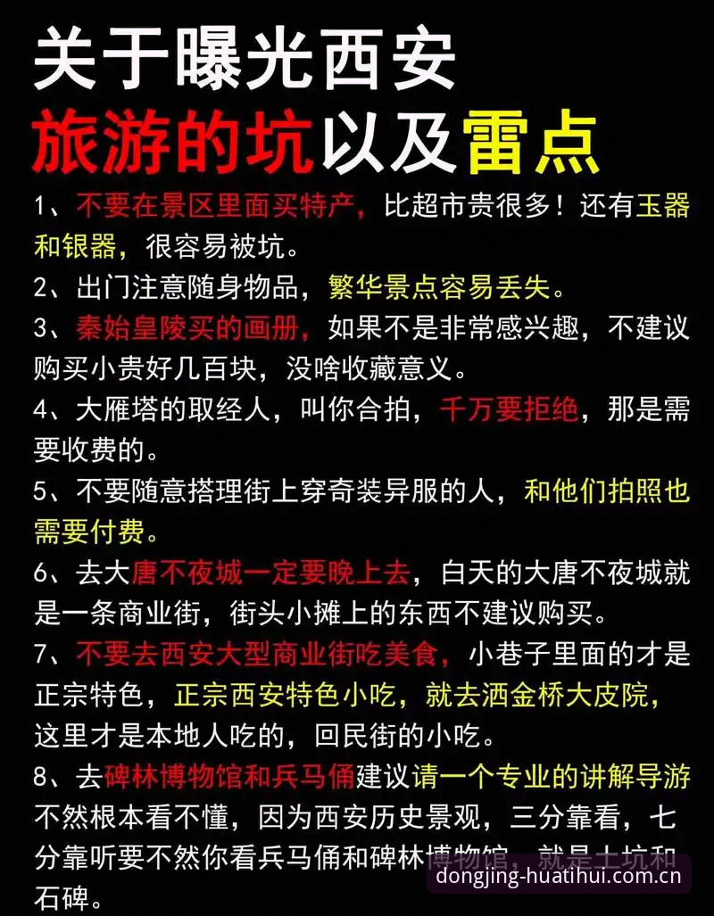 动静皆有度正版下载渠道安全吗 揭秘