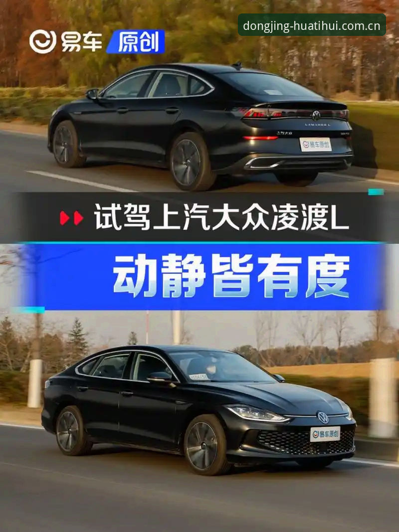 动静皆有度正版下载渠道对比 为什么说2026版“动静皆有度”正版下载渠道对比能帮你避开三个坑?